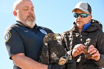 The eagle was found injured last fall, rehabilitated, and released back into the wild at the northern part of the range. (U.S. Air Force photo by Cynthia Griggs)