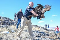 The eagle was found injured last fall, rehabilitated, and released back into the wild at the northern part of the range. (U.S. Air Force photo by Cynthia Griggs)