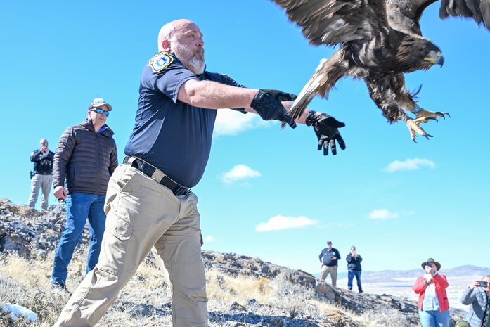 The eagle was found injured last fall, rehabilitated, and released back into the wild at the northern part of the range. (U.S. Air Force photo by Cynthia Griggs)