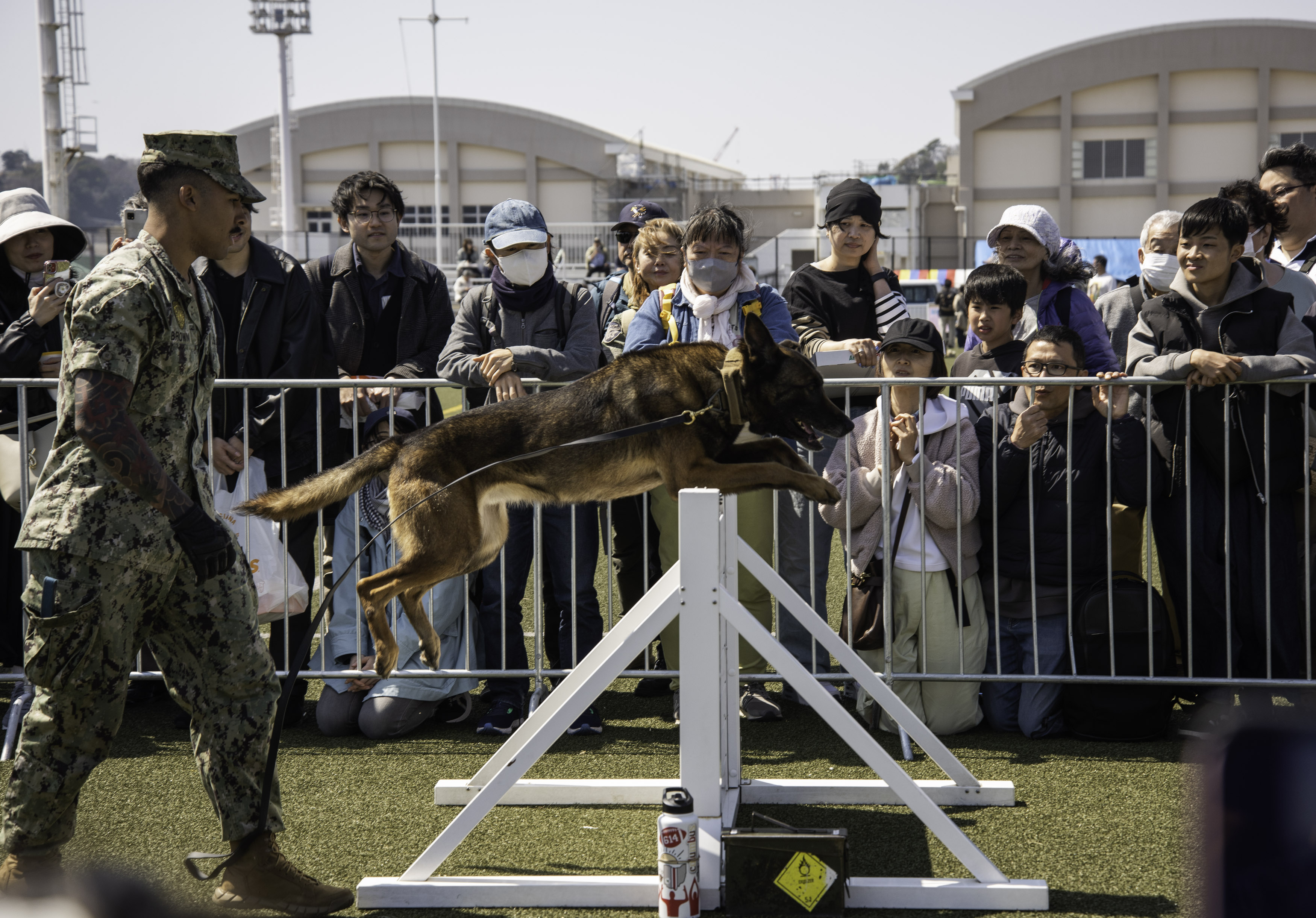 Commander, Fleet Activities Yokosuka (CFAY) security department’s military working dog (MWD) division gave an MWD demonstration during the 29th annual Spring Festival celebration.