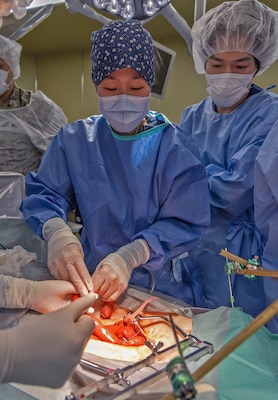 TAURA, Japan (Feb 27, 2025) General surgeon Lt. Cmdr. Angela Zah conducts a simulated exploratory laparotomy with splenectomy and small bowel resection during a joint disaster response drill for Japan Self-Defense Force (JSDF) Hospital Yokosuka and U. S. Navy Medicine Readiness and Training Command (NMRTC) Yokosuka. The exercise focused on enhancing hospital administrative and command staff capabilities between NMRTC Yokosuka and JSDF Hospital Yokosuka in the event of a large-scale natural disaster, such as a major earthquake. It also provided an opportunity for U.S. and Japanese medical teams to improve emergency response capabilities through collaborative triage and surgical training. (U.S. Navy photo by Daniel Taylor/USNMRTC Yokosuka Public Affairs)