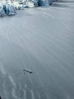 Three plane crash survivors stand on the wing of a PA-12 Super Cruiser aircraft during an Alaska Army National Guard 207th Aviation Troop Command rescue mission March 24, 2025.