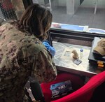 Forward Deployable Preventive Medicine Unit (FDPMU) Industrial Hygiene component team members conducted air quality and lead exposure assessments at Camp Lemonnier’s indoor shooting range, enabling its safe recertification and restoring a key readiness asset that supports 4,000 joint personnel. Hospital Corpsman 2nd Class Alexsandria Guerrero carefully prepared wipe samples to test for lead contamination at the Milo Range indoor shooting range. The work of FDPMU’s highlights the vital role of public health in sustaining force protection and mission success. (U.S. Navy courtesy photo)