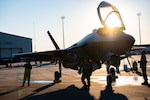 U.S. Airmen assigned to the 115th Fighter Wing, Wisconsin Air National Guard, complete a routine inspection of an F-35 Lightning II aircraft after its landing during Sentry Savannah 25-1, at the Air Dominance Center, Savannah Air National Guard Base, Georgia, Jan. 24, 2025. Sentry Savannah is the Air National Guard’s premier fourth- and fifth-generation fighter integration exercise, with this year’s event involving more than 1,000 participants and 56 aircraft from eight flying units. (U.S. Air National Guard photo by Senior Airman Xaviera Stevens)