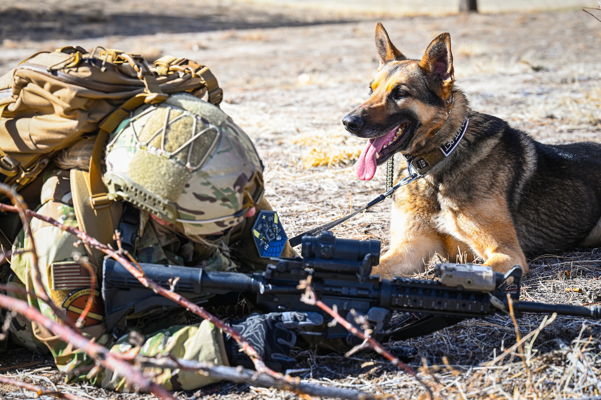 Service members serve.