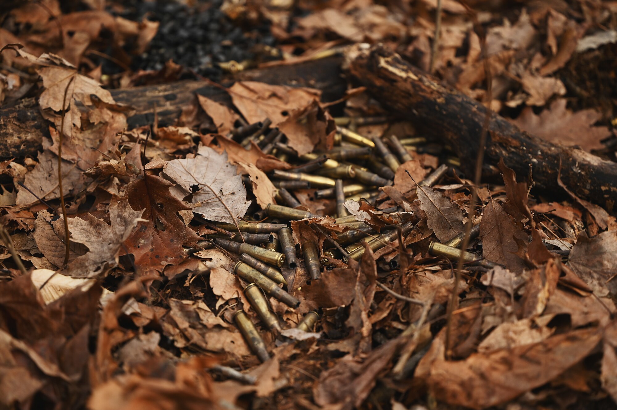 Ammunition litters the ground after a simulated firefight against enemy forces Feb. 3, 2024 in the woods at Camp Holland in Butlerville, Indiana during annual training for the 178th Security Forces Squadron, Ohio Air National Guard. The training, primarily focused on mission planning, included attacking and defending positions and aligning tactics with the Air Force doctrine of Agile Combat Employment. (U.S. Air National Guard photo by Shane Hughes)