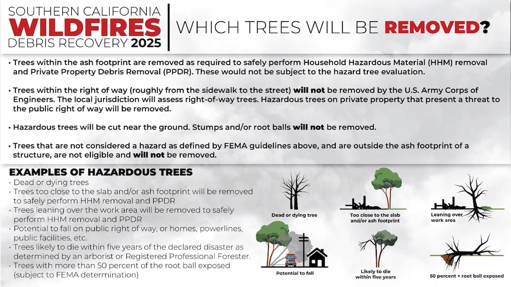 Incident-damaged hazardous trees from the LA County wildfires are defined in this informational graphic.