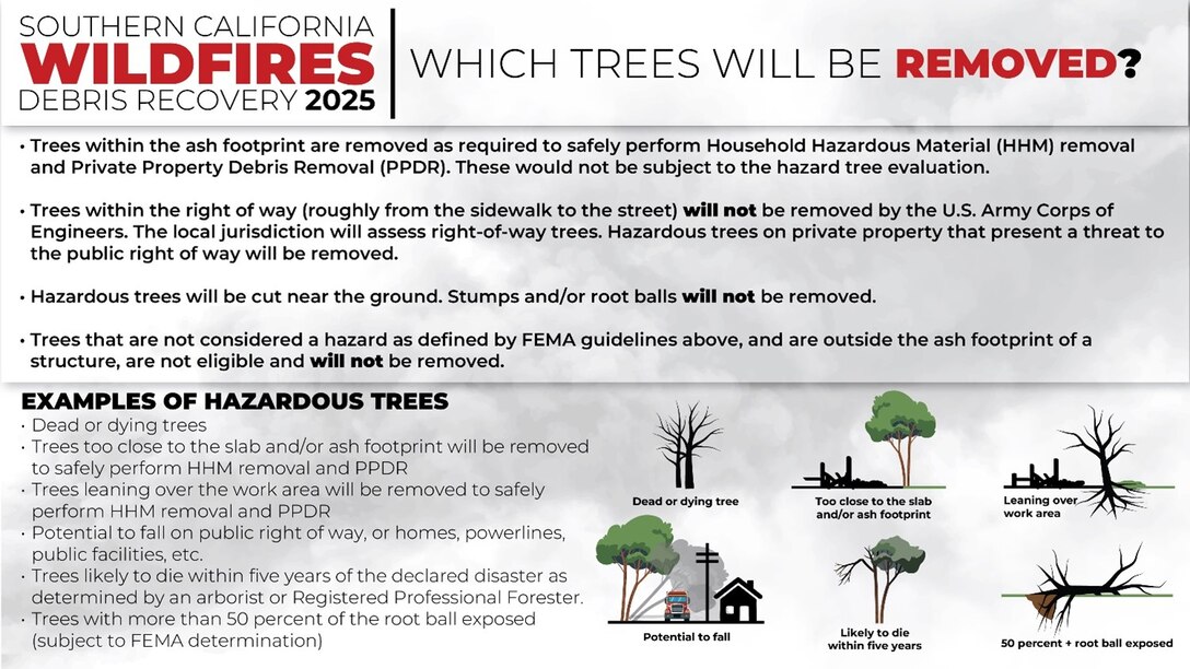 Incident-damaged hazardous trees from the LA County wildfires are defined in this informational graphic.