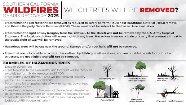 Incident-damaged hazardous trees from the LA County wildfires are defined in this informational graphic.