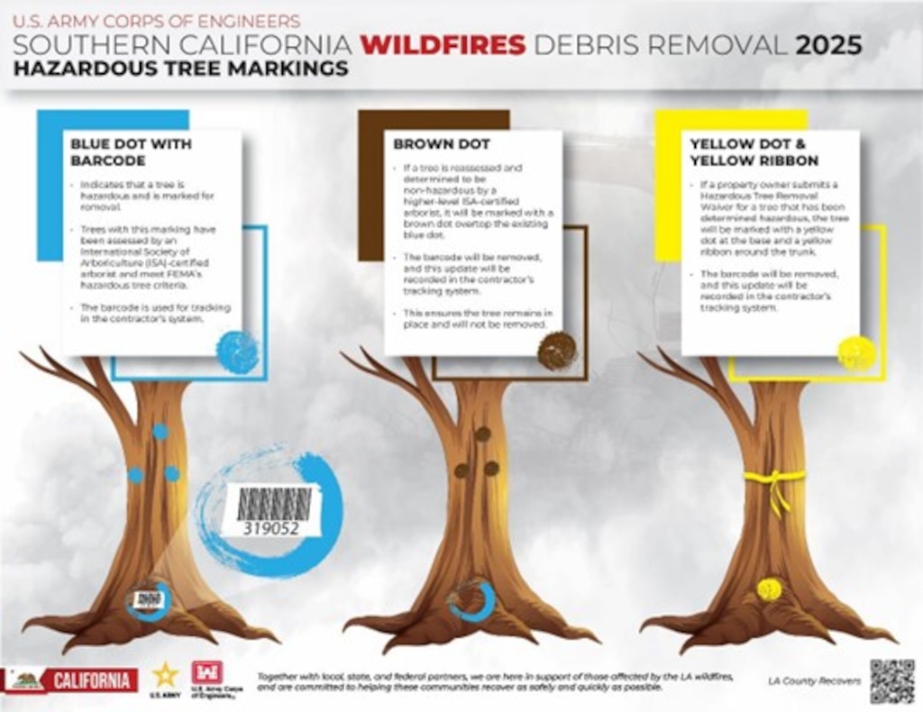 Pictured is an informational graphic describing how to identify hazardous tree markings due to LA County wildfires.