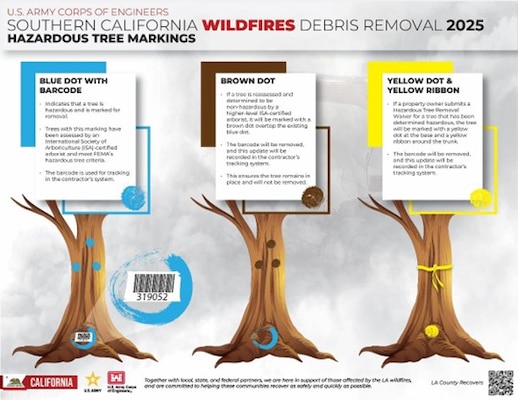 Pictured is an informational graphic describing how to identify hazardous tree markings due to LA County wildfires.