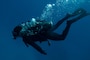 U.S. Navy SEAL Aquarius Dive Training