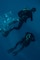 U.S. Navy SEAL Aquarius Dive Training