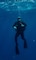 U.S. Navy SEAL Aquarius Dive Training
