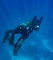 U.S. Navy SEAL Aquarius Dive Training