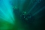 U.S. Navy SEAL and German Naval Special Ops Dive Training