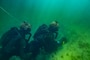 U.S. Navy SEAL and German Naval Special Ops Dive Training