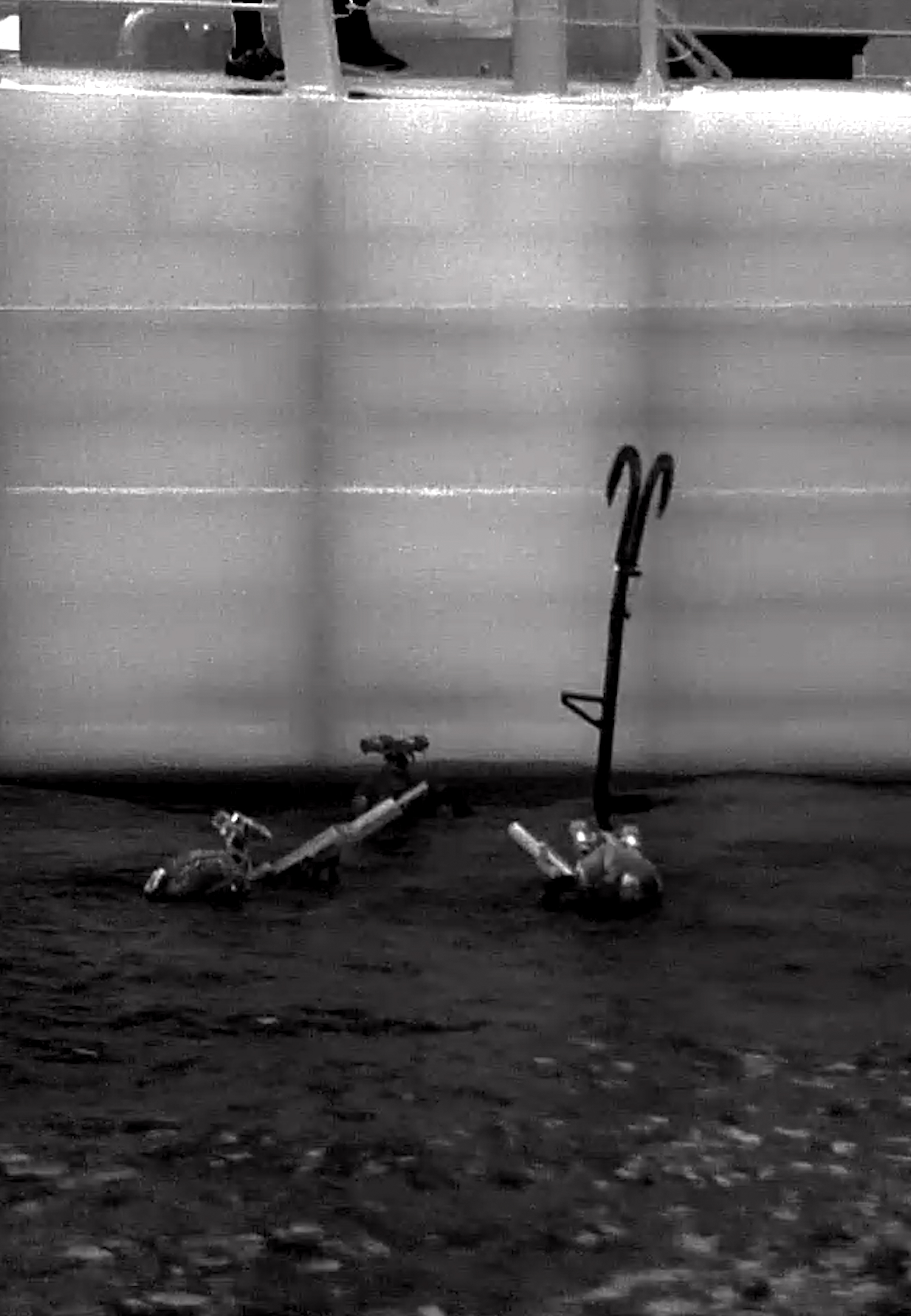 U.S. Navy SEAL and German Naval Special Ops Dive Training