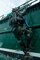 U.S. Navy SEAL and German Naval Special Ops Dive Training