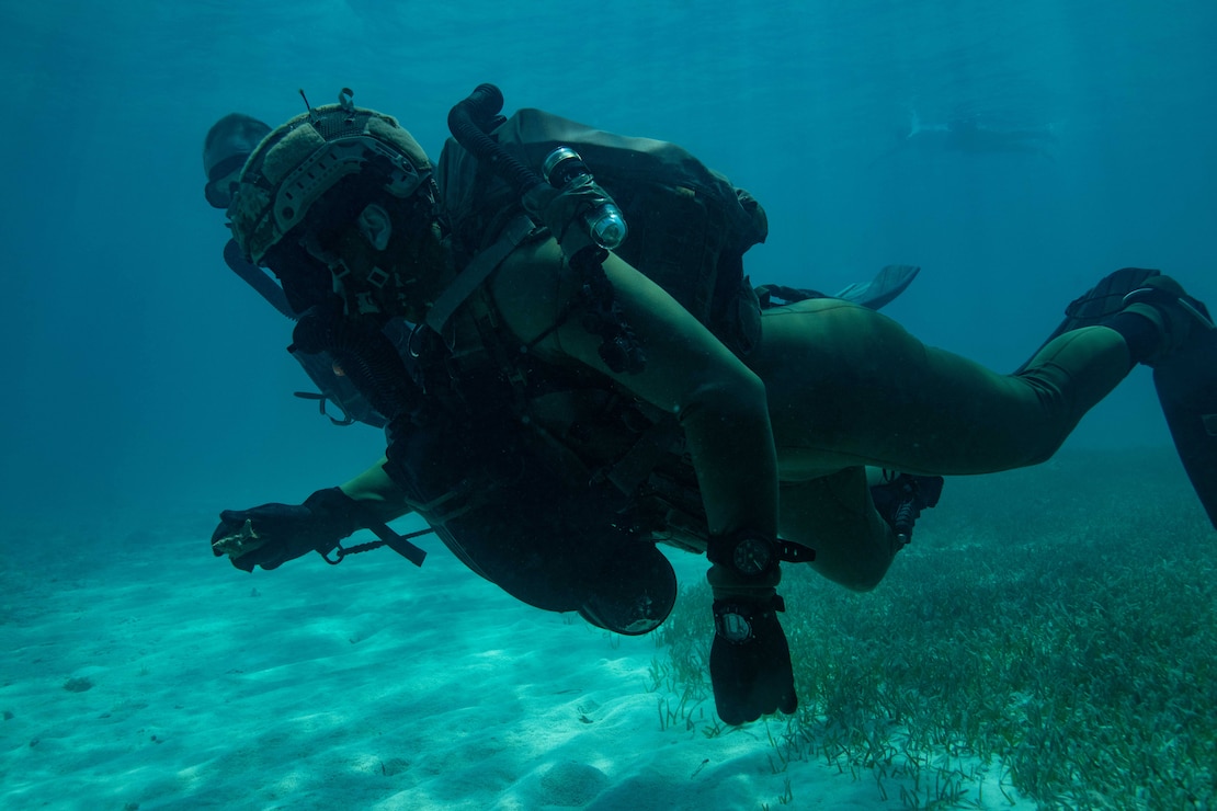 U.S. Navy SEAL and German Naval Special Ops Dive Training