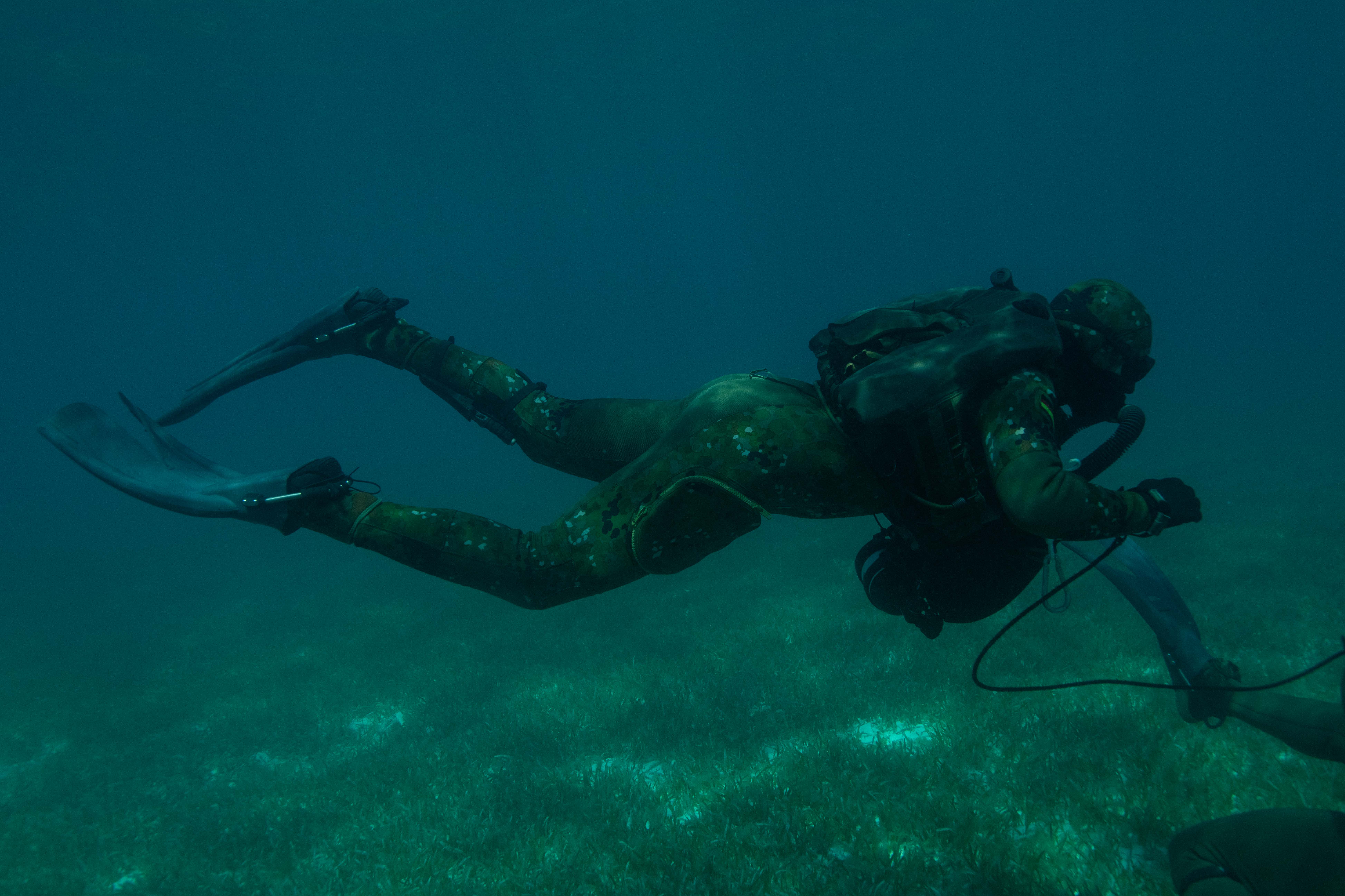 U.S. Navy SEAL and German Naval Special Ops Dive Training