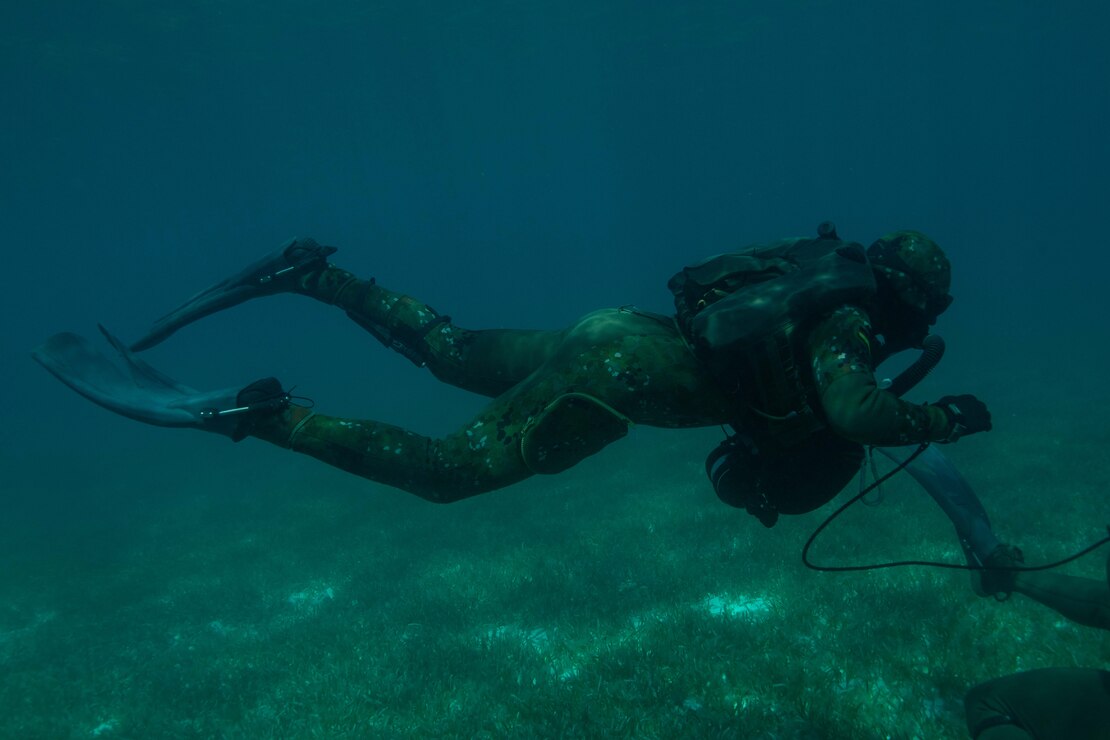 U.S. Navy SEAL and German Naval Special Ops Dive Training