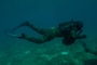 U.S. Navy SEAL and German Naval Special Ops Dive Training