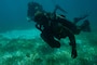 U.S. Navy SEAL and German Naval Special Ops Dive Training
