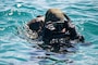 U.S. Navy SEAL and German Naval Special Ops Dive Training