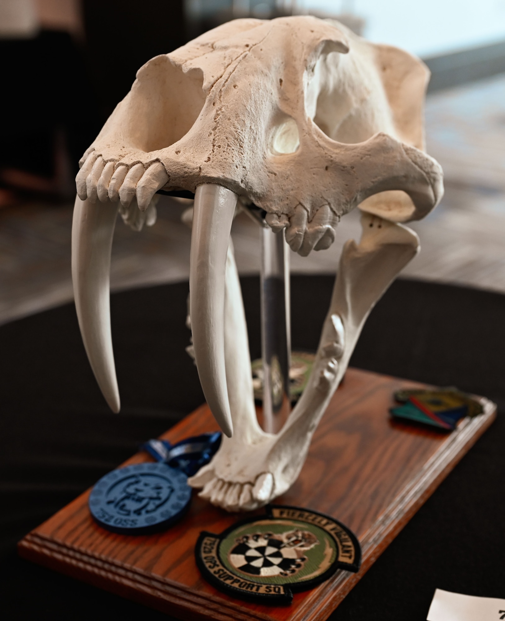 A saber-toothed cat skull replica anchors the 752nd Operations Support Squadron’s table centerpiece at the 552nd Air Control Wing’s 70th Anniversary Banquet at Tinker Air Force Base, Oklahoma, March 27, 2025. The bold display reflects the squadron’s ferocity and precision.
(U.S. Air Force photo by Garrett N. Cole)