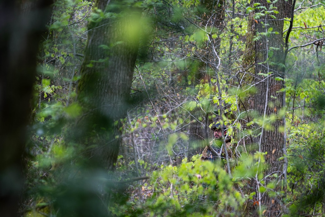 An OPFOR role player peers into a wooded area.
