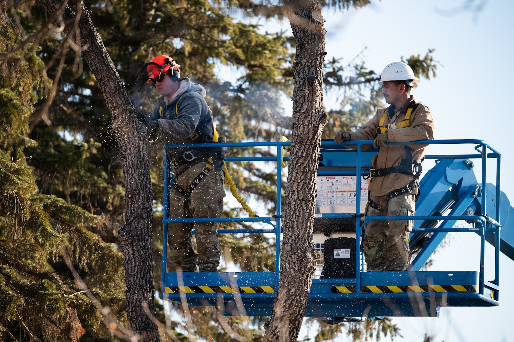 Two Airmen cut branches off a tree.