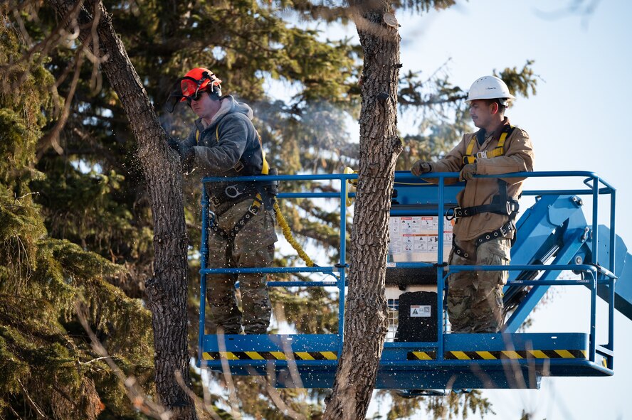 Two Airmen cut branches off a tree.