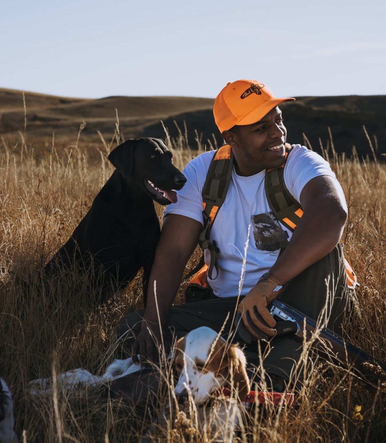 A man in a white shirt and orange safety hat and vest sits in a field with two dogs.
