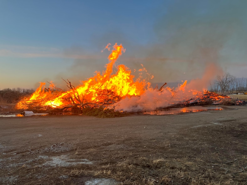 Russian Olive trees are collected into a pile for transportation to a burn pit on Minot Air Force Base, North Dakota, Mar. 7, 2025. The U.S. Air Force Wildland Fire Branch provides strategic, logistical, and “boots on the ground” wildland fire support to ensure military preparedness. (Courtesy photo)