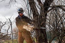 Cody Jolovich, U.S. Air Force Wildland Fire Branch crew member, cuts down Russian Olive trees on Minot Air Force Base, North Dakota, April 22, 2025. The Wildland Branch helps protect Air Force personnel and property from wildfires by clearing away dangerous plants and other things that can easily catch fire.  (U.S. Air Force photo by Senior Airman Alexander Nottingham)