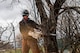 Cody Jolovich, U.S. Air Force Wildland Fire Branch crew member, cuts down Russian Olive trees on Minot Air Force Base, North Dakota, April 22, 2025. The Wildland Branch helps protect Air Force personnel and property from wildfires by clearing away dangerous plants and other things that can easily catch fire.  (U.S. Air Force photo by Senior Airman Alexander Nottingham)