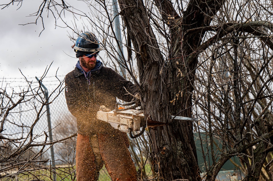 Cody Jolovich, U.S. Air Force Wildland Fire Branch crew member, cuts down Russian Olive trees on Minot Air Force Base, North Dakota, April 22, 2025. The Wildland Branch helps protect Air Force personnel and property from wildfires by clearing away dangerous plants and other things that can easily catch fire.  (U.S. Air Force photo by Senior Airman Alexander Nottingham)