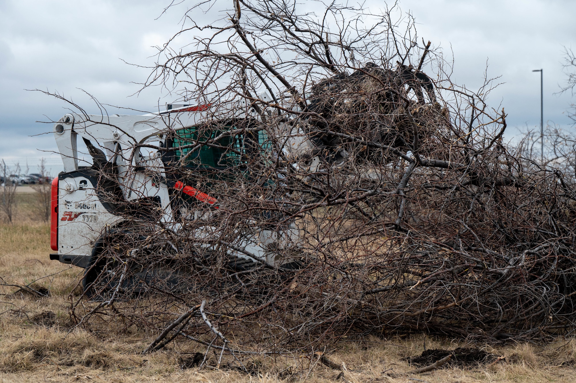 U.S. Air Force Wildland Fire Branch crew member collects Russian Olive trees into a pile for transportation to a burn pit on Minot Air Force Base, North Dakota, April 22, 2025. Wildland Fire Branch develops guidance for execution of wildland fire suppression, mitigation, prescribed fire, and hazardous fuel reduction on Air Force installations. (U.S. Air Force photo by Senior Airman Alexander Nottingham)