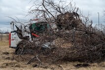 U.S. Air Force Wildland Fire Branch crew member collects Russian Olive trees into a pile for transportation to a burn pit on Minot Air Force Base, North Dakota, April 22, 2025. Wildland Fire Branch develops guidance for execution of wildland fire suppression, mitigation, prescribed fire, and hazardous fuel reduction on Air Force installations. (U.S. Air Force photo by Senior Airman Alexander Nottingham)