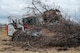 U.S. Air Force Wildland Fire Branch crew member collects Russian Olive trees into a pile for transportation to a burn pit on Minot Air Force Base, North Dakota, April 22, 2025. Wildland Fire Branch develops guidance for execution of wildland fire suppression, mitigation, prescribed fire, and hazardous fuel reduction on Air Force installations. (U.S. Air Force photo by Senior Airman Alexander Nottingham)