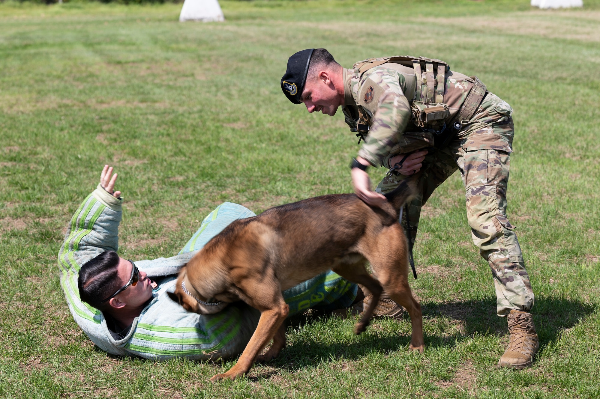 Oosborne, 51st Security Forces Squadron military working dog, bites U.S. Air Force Staff Sgt. Tyler Cisneros, 51st SFS MWD handler, during a routine bite training at Osan Air Base, Republic of Korea, April 30, 2025. Bite training teaches MWD to use force to subdue and apprehend threats on command. Military working dogs are trained for patrol, detection, and apprehension, with their presence alone acting as a deterrent. (U.S. Air Force photo by Senior Airman Rome Bowermaster)