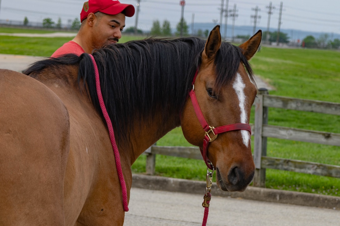 A service member walks with a horse near a field on a gloomy day.