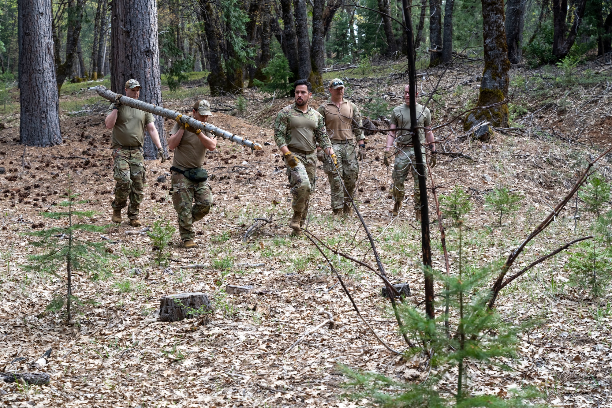 Men walk through the forest.