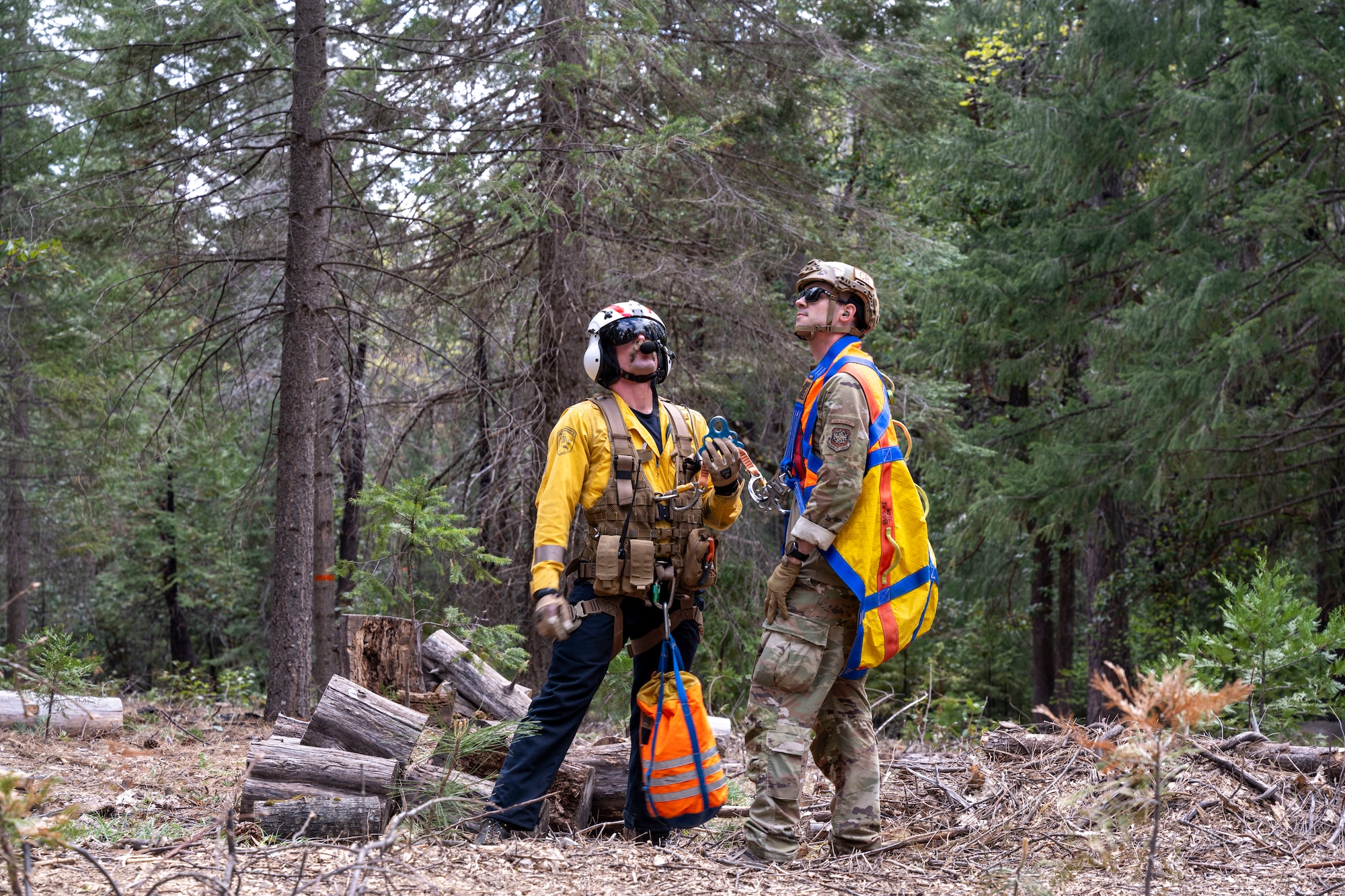 Two men stand in the forrest.