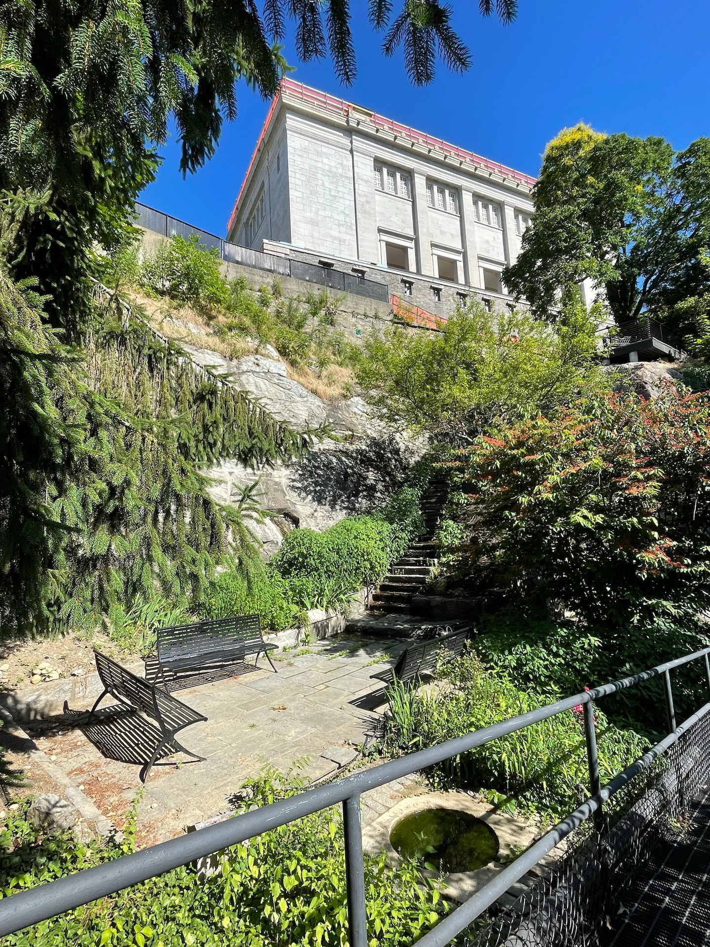 This photo, taken by TCX staff in June 2024, is a view of Kosciusko’s Garden from the 1960s raised path looking east.