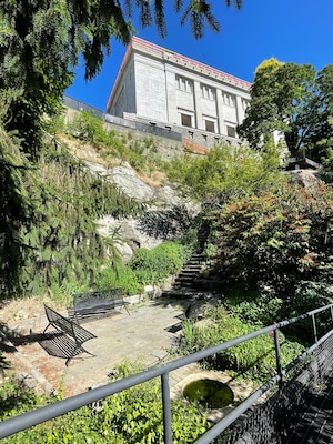 This photo, taken by TCX staff in June 2024, is a view of Kosciusko’s Garden from the 1960s raised path looking east.