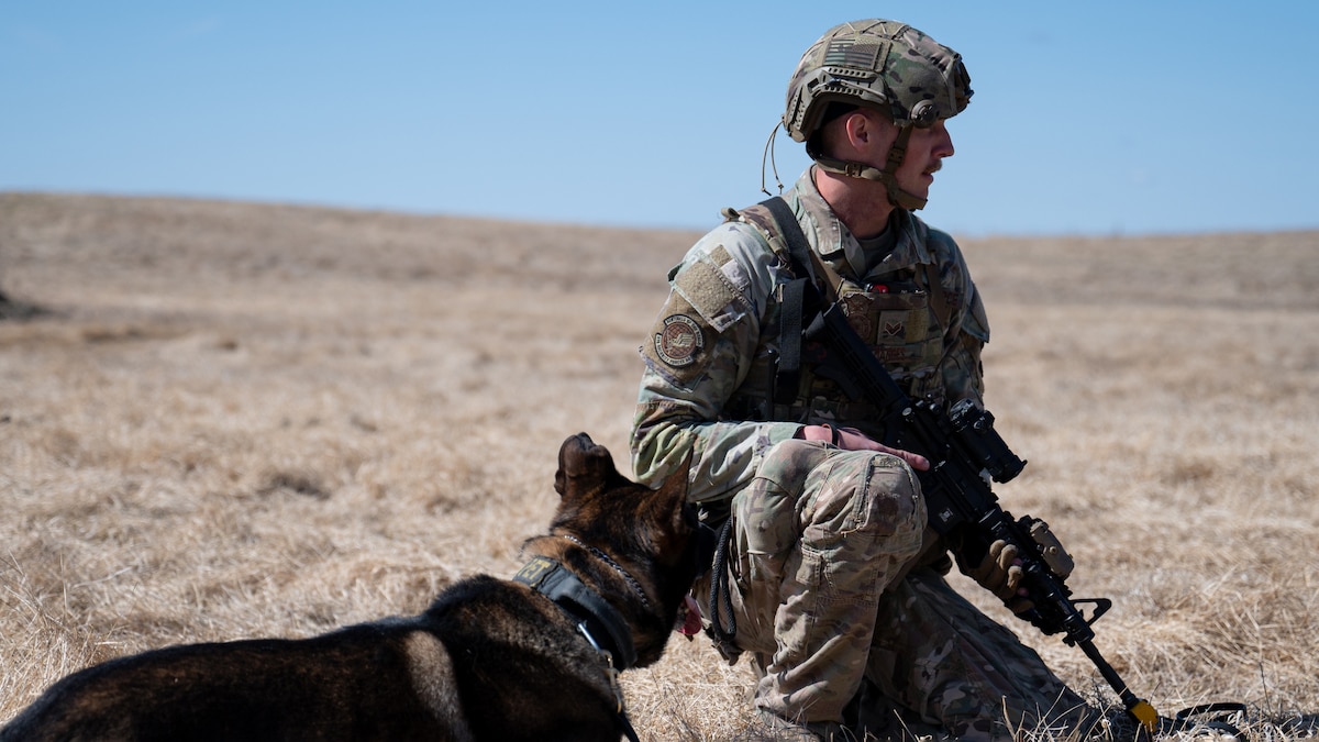 Security Forces Squadron holds a three-day Field Training Exercise ...