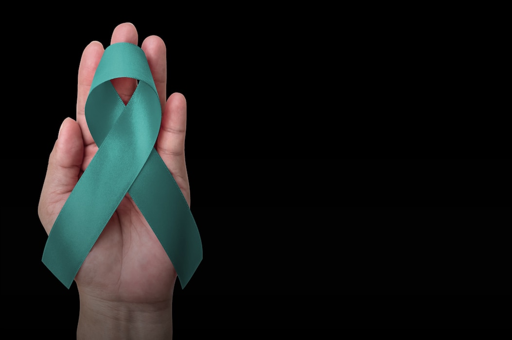 Rape, Abuse & Incest National Network (RAINN)