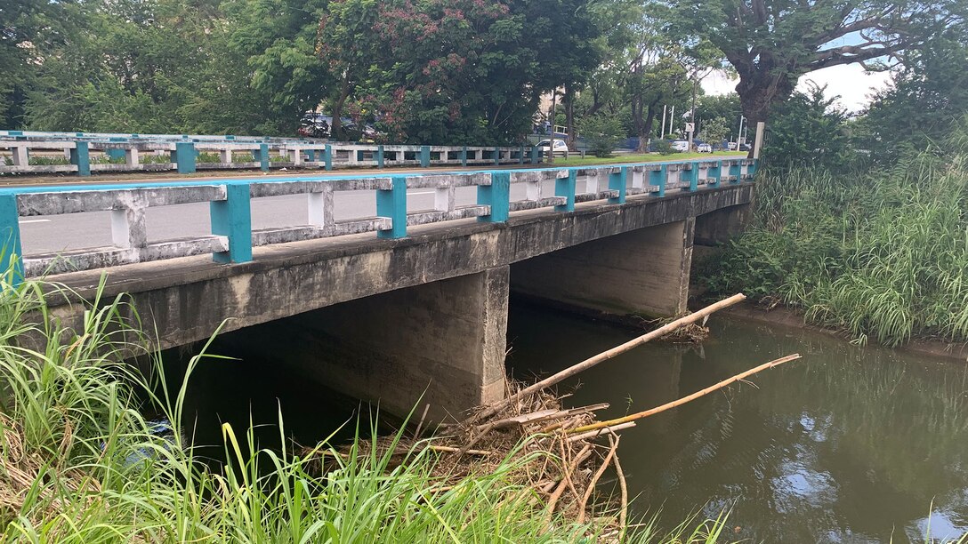 Tree branches caught in the piers of a bridge block the flow of water downstream.